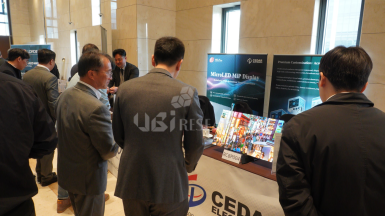 Attendees exploring the latest Micro LED and OLED ecosystem technologies at the Display Korea 2026 exhibition booths.